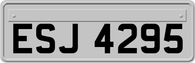 ESJ4295