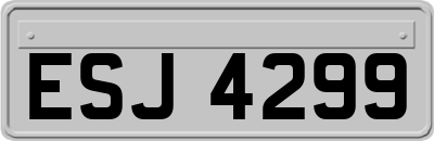 ESJ4299