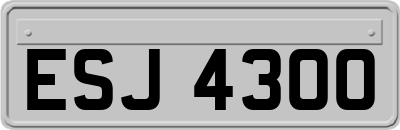 ESJ4300