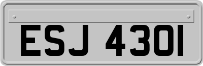 ESJ4301