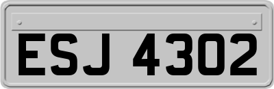 ESJ4302