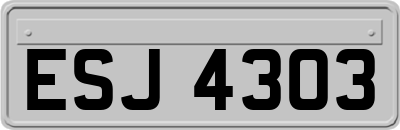 ESJ4303