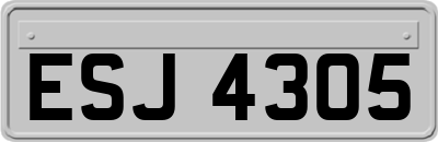 ESJ4305
