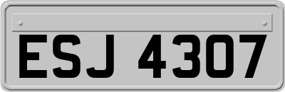 ESJ4307