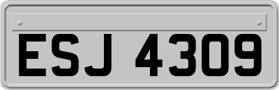 ESJ4309