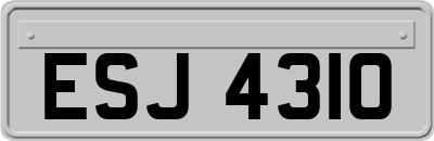 ESJ4310