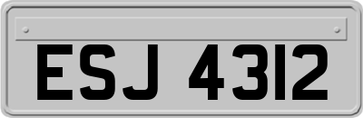 ESJ4312
