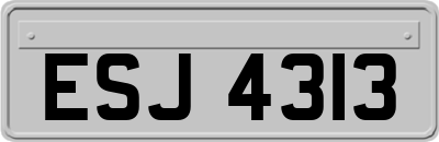 ESJ4313