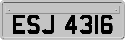 ESJ4316