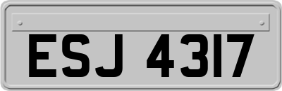 ESJ4317