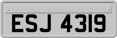 ESJ4319