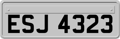 ESJ4323