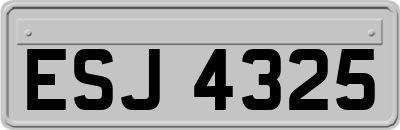 ESJ4325