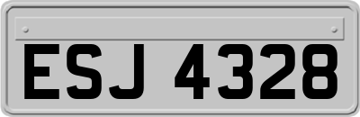 ESJ4328