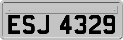 ESJ4329