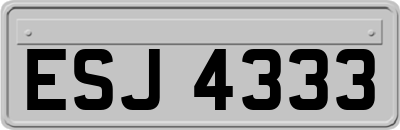 ESJ4333