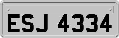 ESJ4334