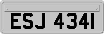 ESJ4341
