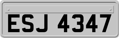 ESJ4347