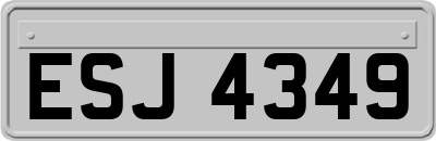 ESJ4349
