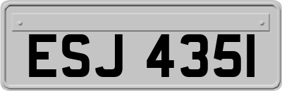 ESJ4351