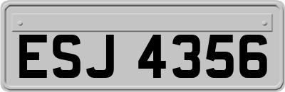 ESJ4356