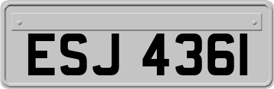 ESJ4361