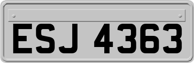 ESJ4363