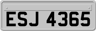 ESJ4365