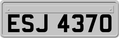 ESJ4370