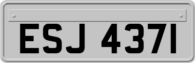 ESJ4371
