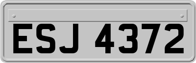 ESJ4372