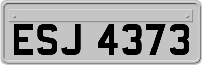 ESJ4373