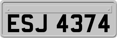 ESJ4374