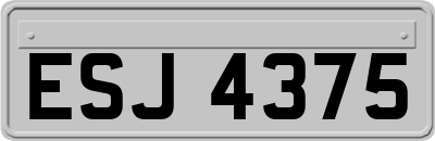 ESJ4375