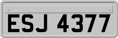 ESJ4377