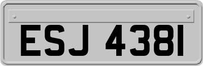 ESJ4381