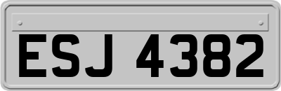 ESJ4382