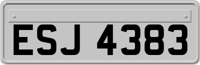 ESJ4383