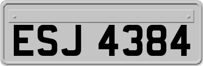 ESJ4384