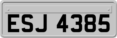 ESJ4385