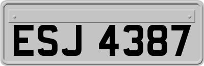 ESJ4387
