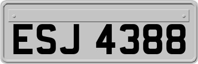 ESJ4388