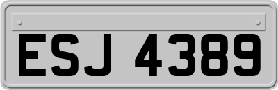ESJ4389