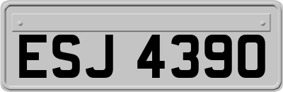 ESJ4390