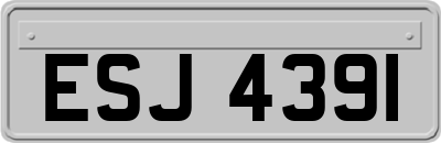 ESJ4391