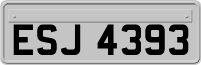 ESJ4393