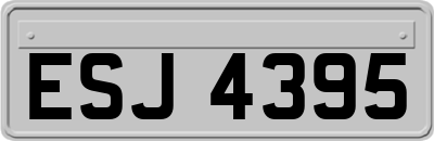 ESJ4395