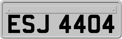 ESJ4404