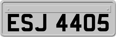 ESJ4405
